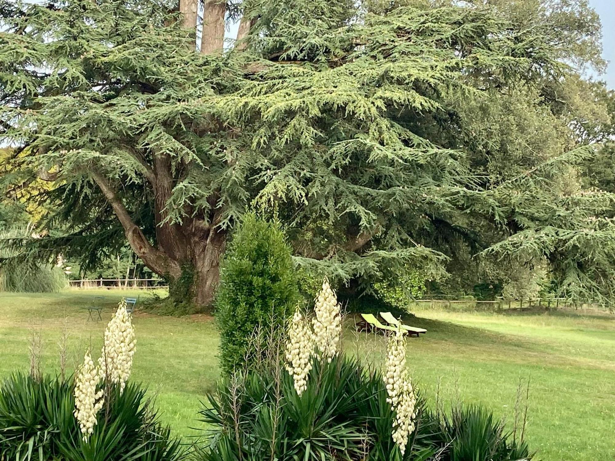 Chateau La Bainerie Tierce المظهر الخارجي الصورة